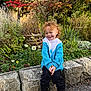 child, toddler, curly_hair, smiling, blue_sweater, black_pants, black_shoes, stone_wall, garden, flowers, greenery, daisies, autumn, outdoor, nature, plants, grass, tree, happy, portrait