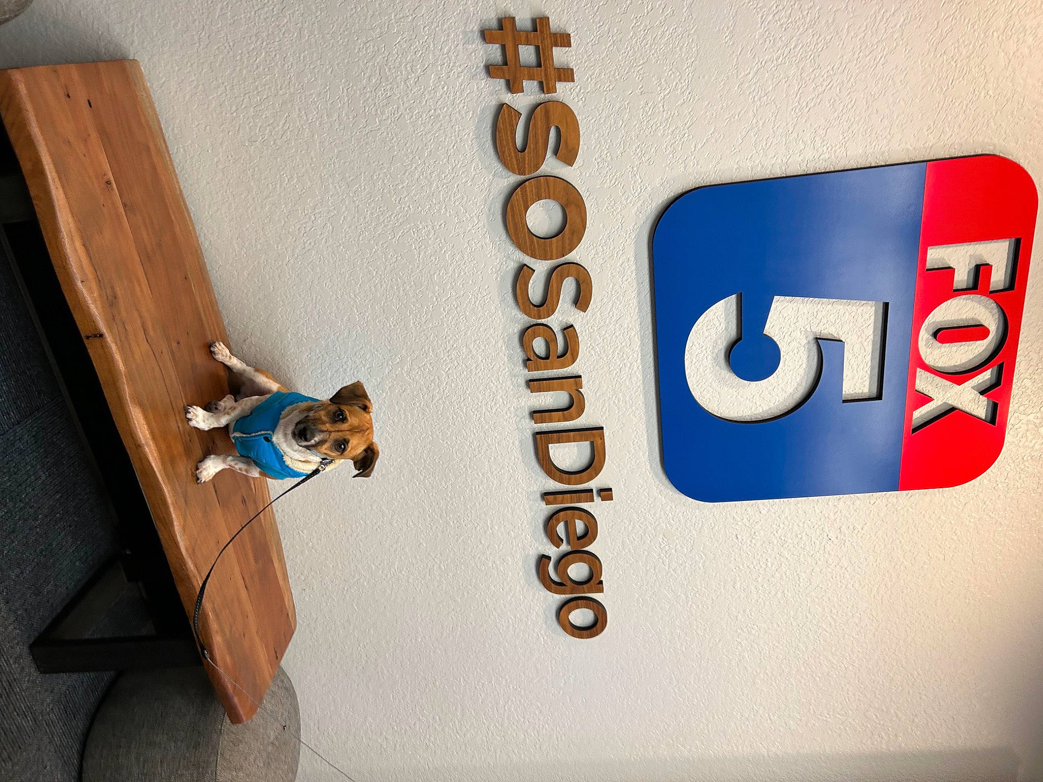 Alfie joined the competition — help win amazing prizes! advertising, automotive_exterior, brand, carmine, design, door, door_handle, electric_blue, font, gas, graphics, logo, machine, number, product, room, sign, signage, symbol, wood