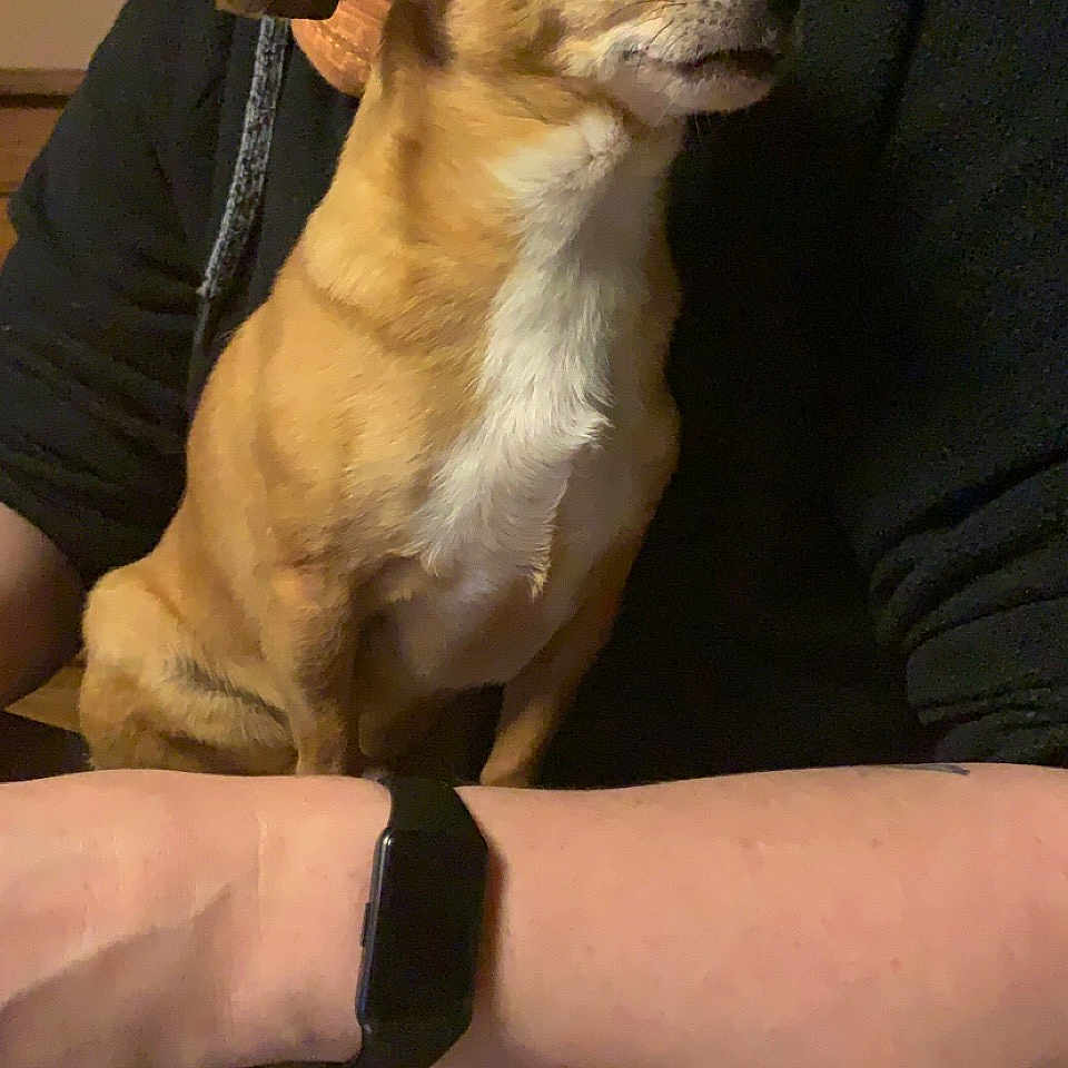 Rocky