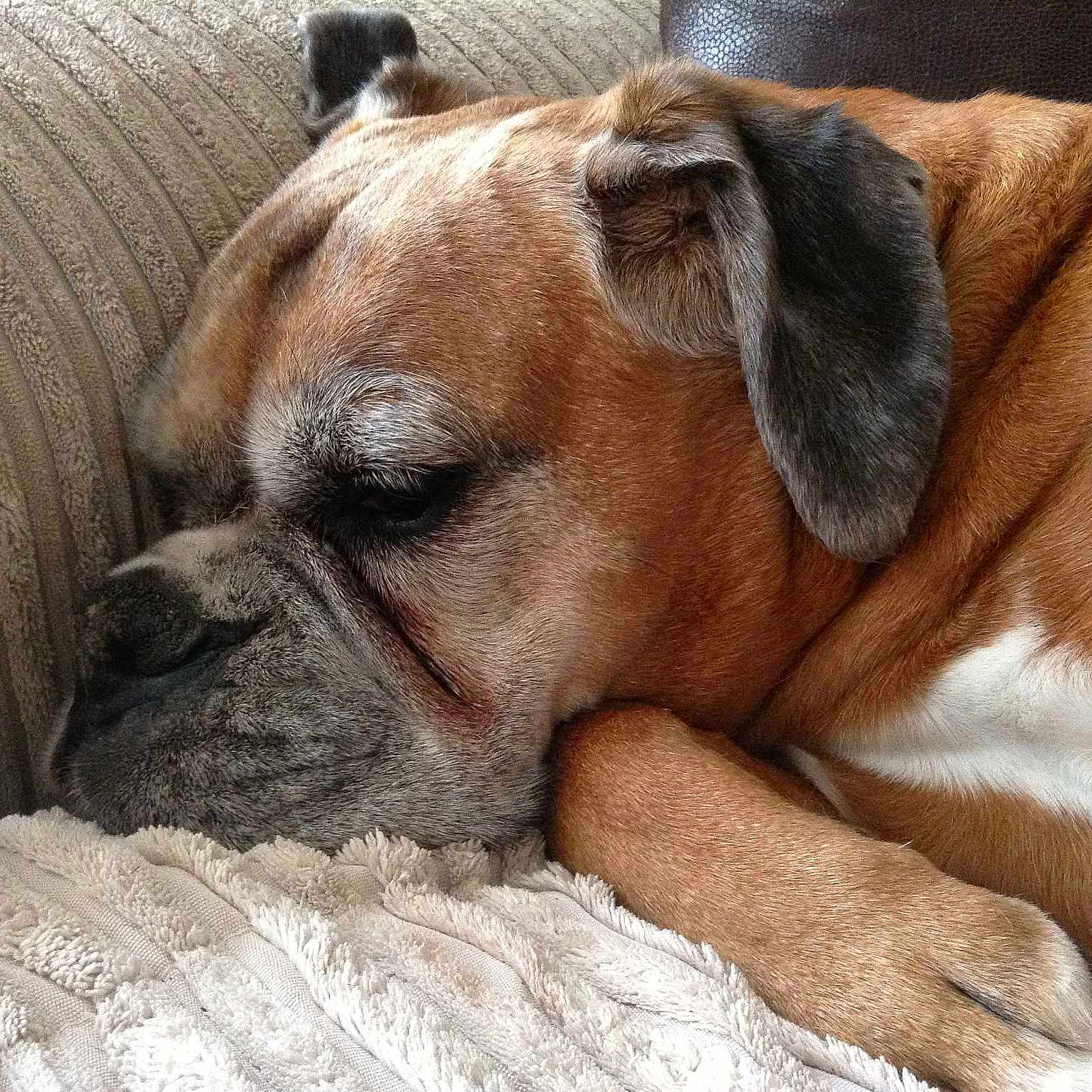 Shaye joined the competition — help win amazing prizes!