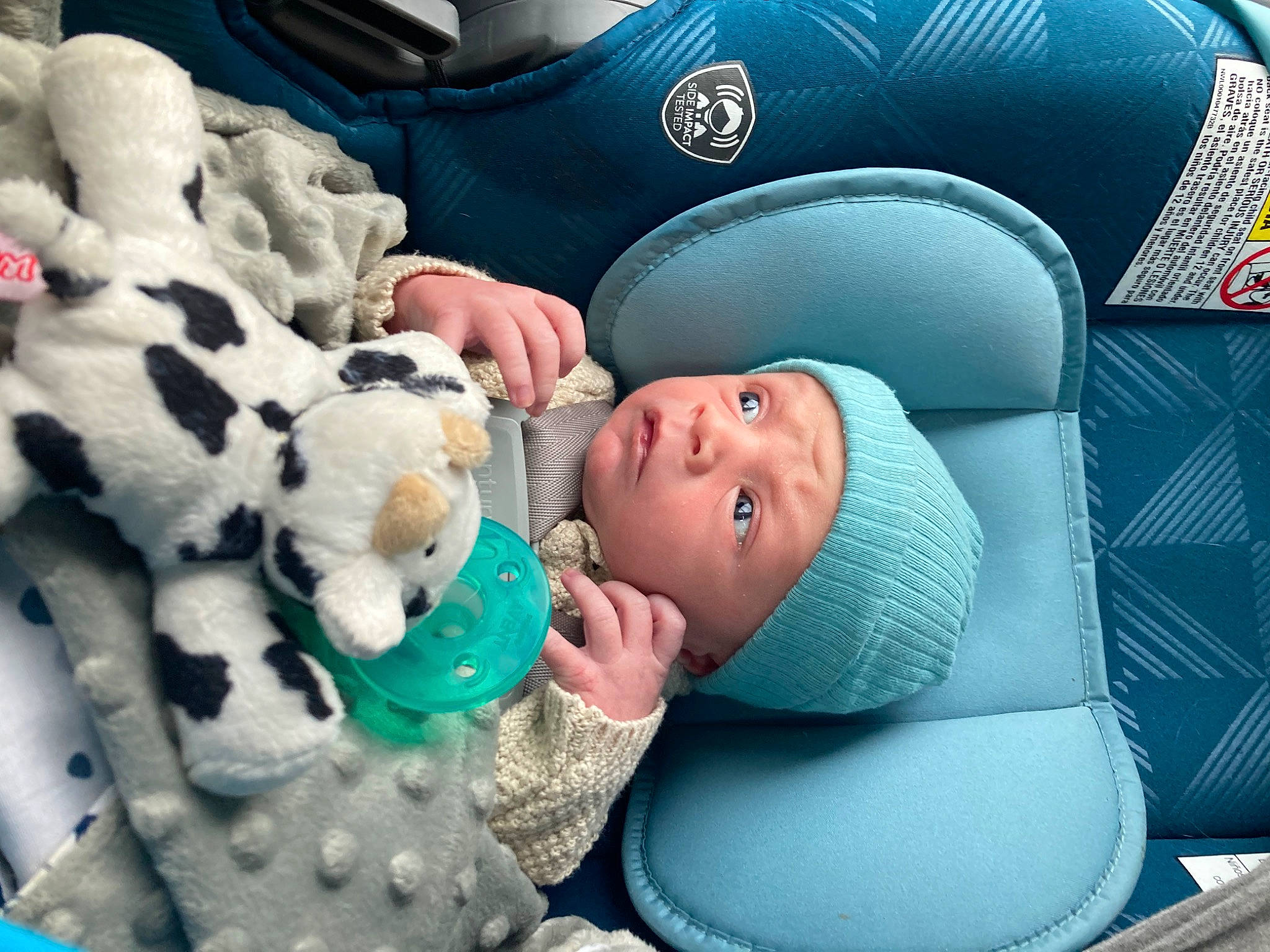 Finnick is registered to the contest to win money with this photo: automotive_design, baby, baby_products, baby_toddler_clothing, blue, cap, car_seat, child, comfort, family_car, fur, hat, headwear, linens, motor_vehicle, person, product, smile, textile, toddler