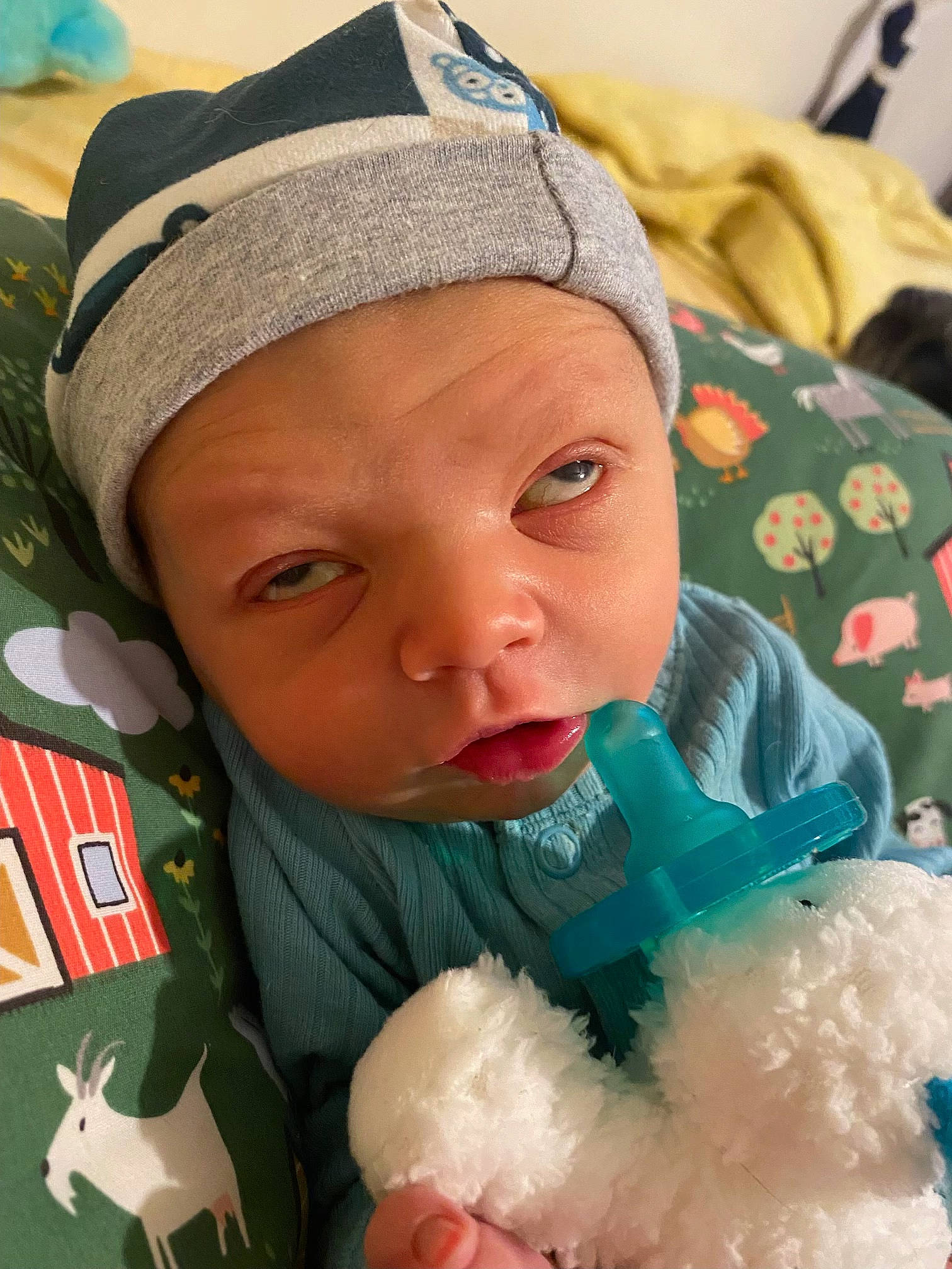 Finnick joined the competition — help win amazing prizes! baby, cap, cheek, child, cotton_candy, eye, face, finger, green, happy, head, headwear, human, lip, mouth, nose, organ, person, skin, textile