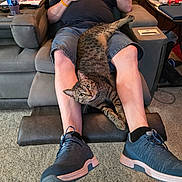 Drew joined the competition — help win amazing prizes! man, cat, tabby_cat, recliner, legs, shorts, sneakers, carpet, living_room, water_bottle, snacks, watch, bracelet, furniture, relaxing, pet, indoor, casual, beard, comfortable