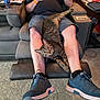 man, cat, tabby_cat, recliner, legs, shorts, sneakers, carpet, living_room, water_bottle, snacks, watch, bracelet, furniture, relaxing, pet, indoor, casual, beard, comfortable