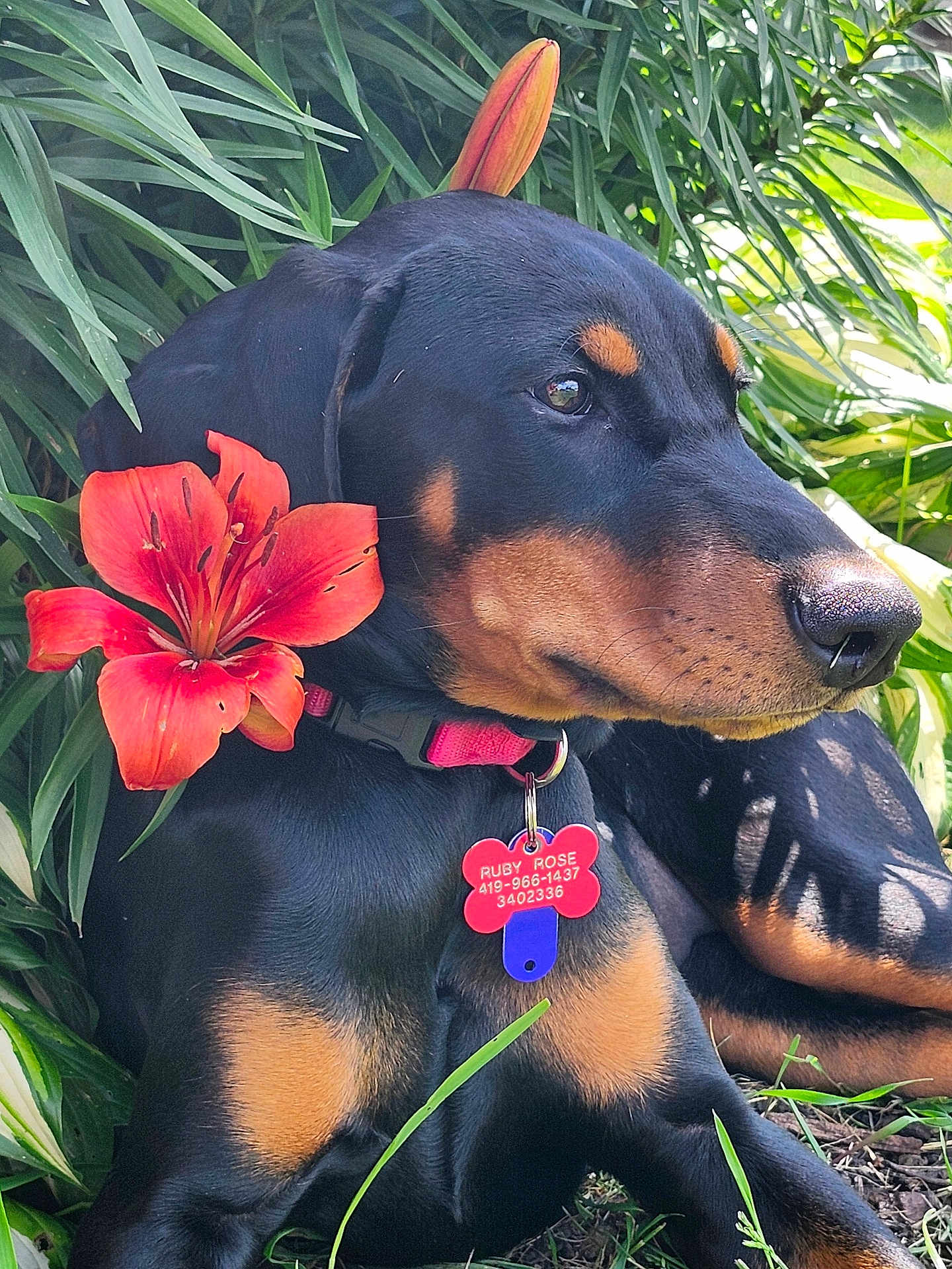 Ruby Rose