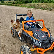 Ruben participe au concours pour gagner de l'argent avec cette photo : child, dog, toy_car, outdoor, dirt_road, nature, greenery, trees, grass, blue_shirt, blonde_hair, pet, playful, vehicle, wheels, mud, happy, smiling, daytime, recreation