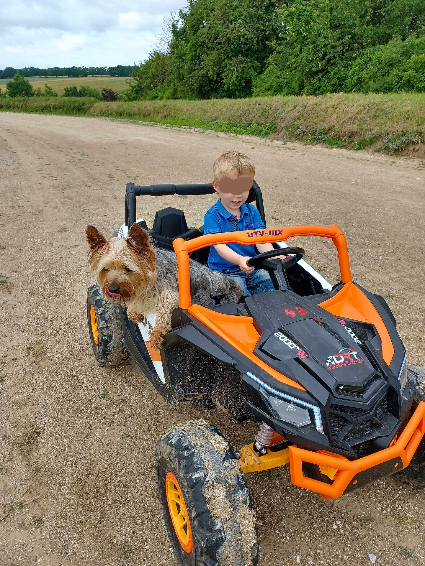 Ruben participe au concours pour gagner de l'argent avec cette photo : child, dog, toy_car, outdoor, dirt_road, nature, greenery, trees, grass, blue_shirt, blonde_hair, pet, playful, vehicle, wheels, mud, happy, smiling, daytime, recreation