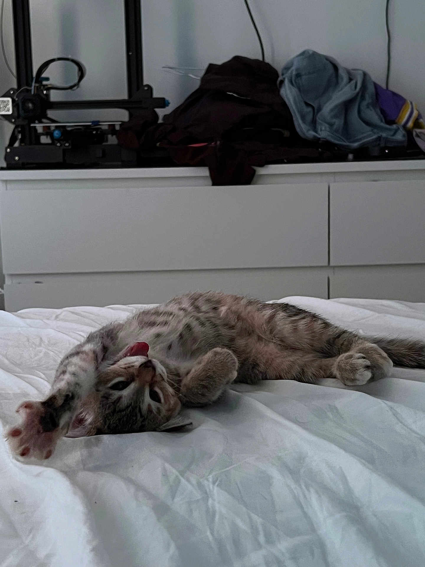 Xalya participe au concours pour gagner de l'argent avec cette photo : cat, bed, white_bedspread, stretching, tongue_out, spotted_cat, indoor, furniture, dresser, clothes, 3d_printer, relaxing, cute, pet, animal, playful, sleepy, cozy, mischievous, home
