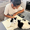 black_and_white_cat, cat, chair, domestic, focused, fur, home, indoor, kitchen, modern, oven, pen, person, pet, plastic_cover, relaxed, smartphone, table, white_tshirt, writing