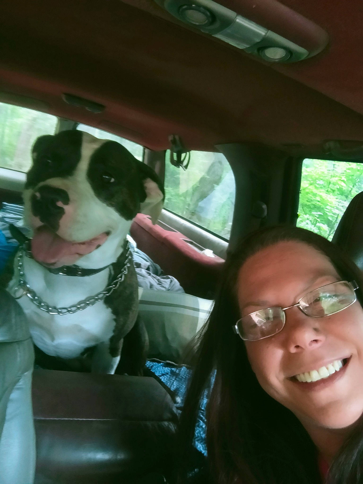Nova Carroll is registered to the contest to win money with this photo: auto_part, automotive_exterior, automotive_mirror, car, car_seat, car_seat_cover, carnivore, companion_dog, dog, dog_breed, eyewear, family_car, fawn, head_restraint, motor_vehicle, seat_belt, smile, steering_wheel, vehicle, vehicle_door