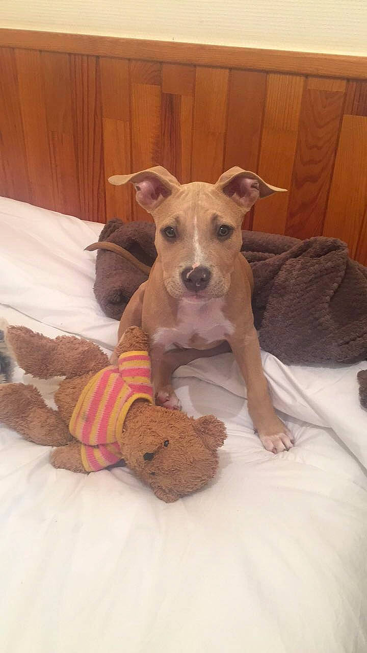 Cosmos a rejoint le concours — aidez-le/la à gagner de superbes lots !