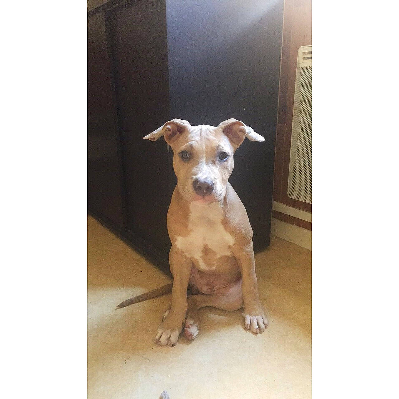 Cosmos a rejoint le concours — aidez-le/la à gagner de superbes lots !