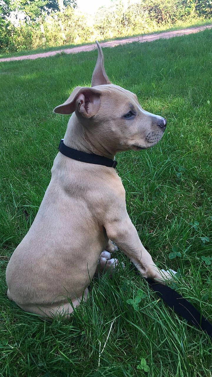 Cosmos participe au concours pour gagner de l'argent avec cette photo :