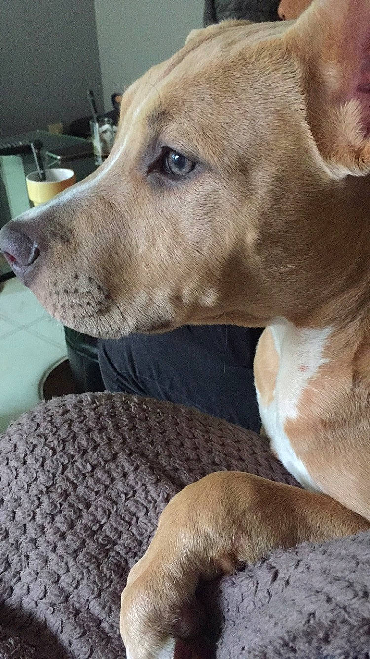 Cosmos participe au concours pour gagner de l'argent avec cette photo :