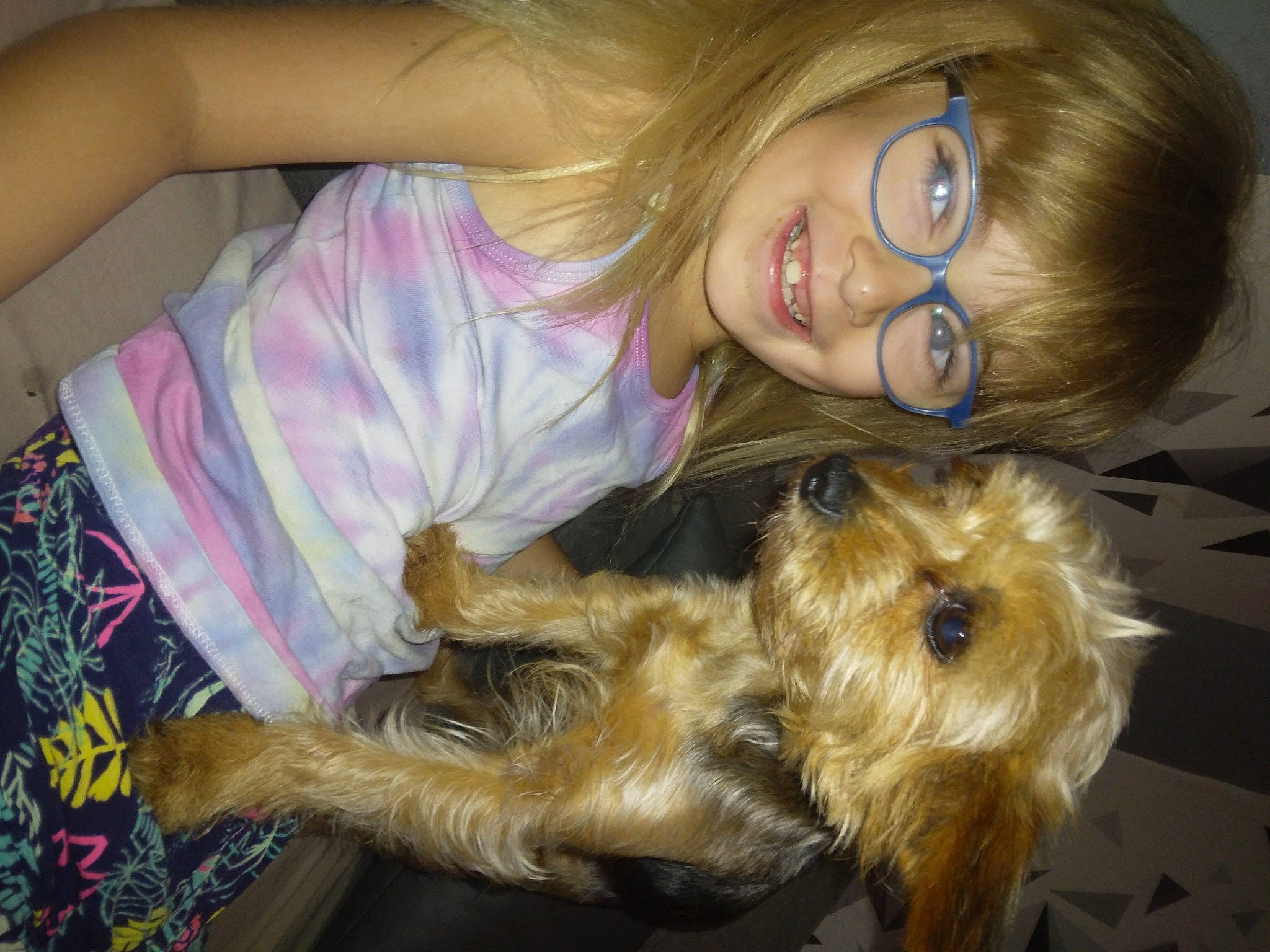 Maeva participe au concours pour gagner de l'argent avec cette photo : australian_terrier, canidae, carnivore, comfort, companion_dog, couch, dog, dog_breed, fawn, fur, joy, lap, person, small_terrier, smile, snout, sporting_group, terrier, toddler, toy_dog