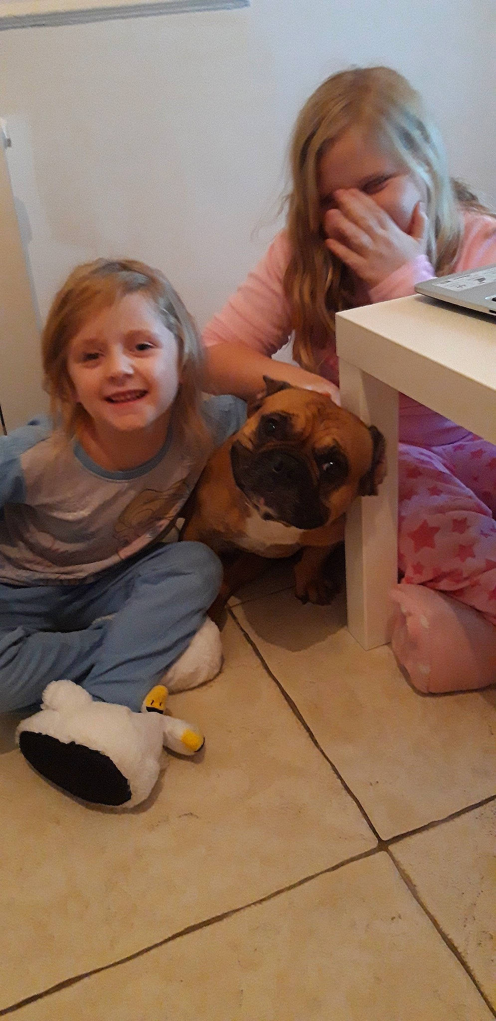 Scooby Doo a rejoint le concours — aidez-le/la à gagner de superbes lots ! boston_terrier, carnivoran, child, dog, dog_breed, dog_breed_group, dog_like_mammal, floor, flooring, fun, girl, joy, mammal, non_sporting_group, person, play, pug, puppy, room, skin