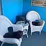 animal, blue_wall, cat, chair, decor, feline, floor, glass_table, gray_cat, home, indoor, pet, picture_frame, porch, relaxed, seating, striped_cat, table, two_cats, wicker