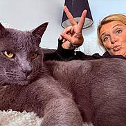 Bobby a rejoint le concours — aidez-le/la à gagner de superbes lots ! black_clothing, blonde_hair, cat, close_up, couch, eyes, face, funny, fur, gray_cat, home, indoor, lamp, peace_sign, person, pet, portrait, puckered_lips, whiskers, woman