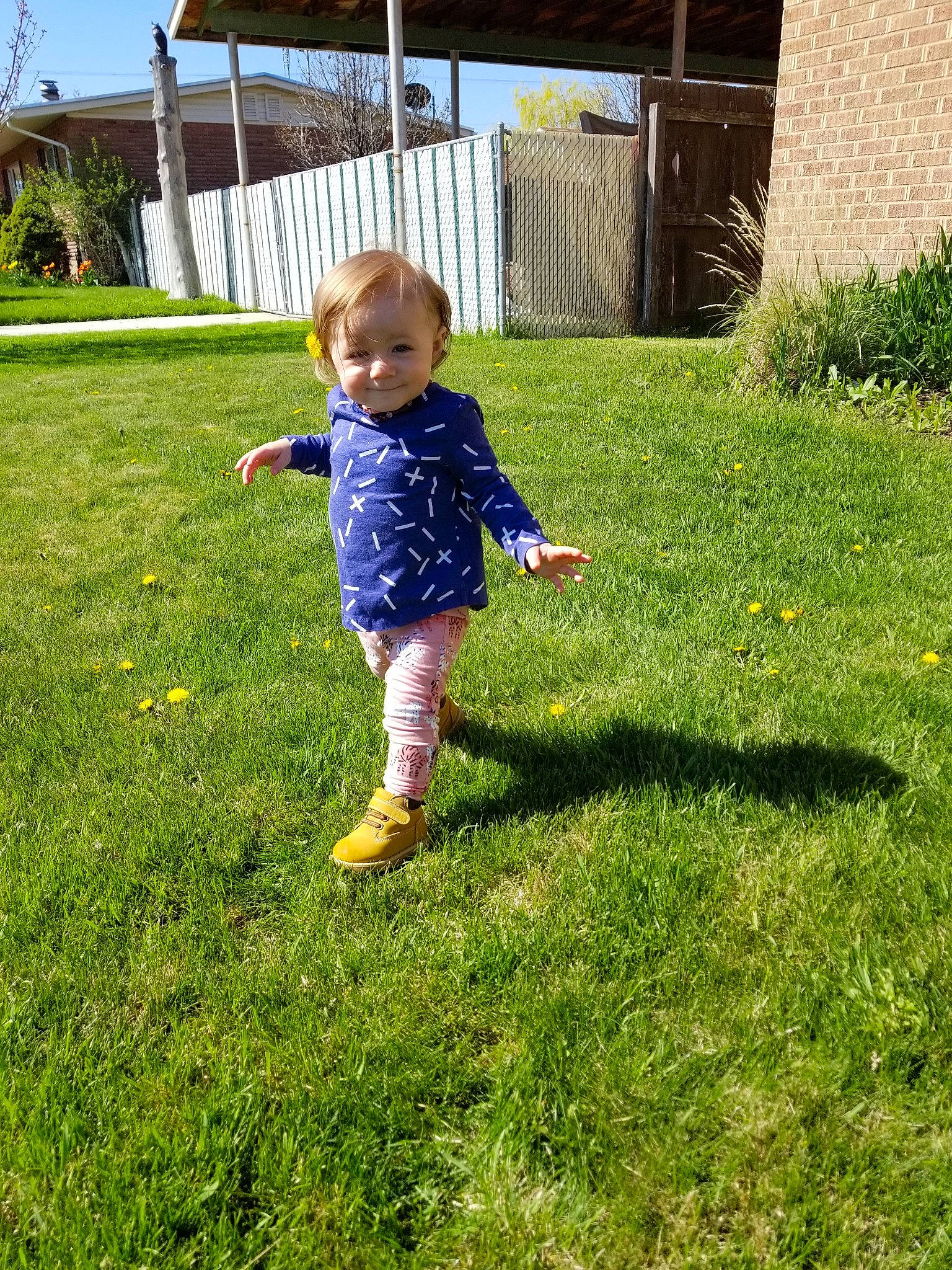 Kynley is registered to the contest to win money with this photo: backyard, child, fun, garden, grass, grass_family, home, joy, lawn, leaf, meadow, person, plant, play, summer, toddler, tree, vacation, yard