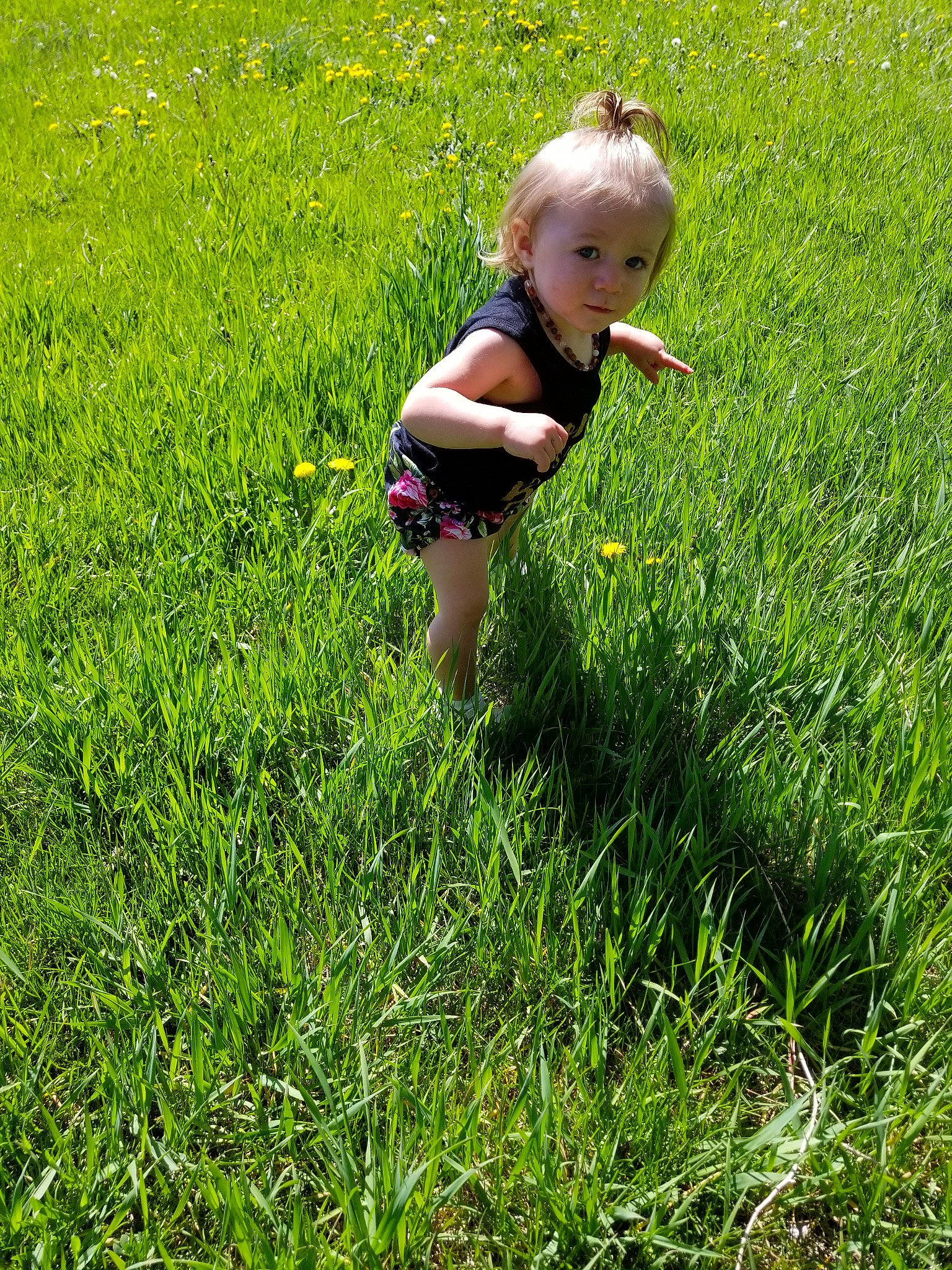 Kynley joined the competition — help win amazing prizes! child, flower, fun, grass, grass_family, grassland, green, happy, lawn, meadow, pasture, people_in_nature, person, plant, shrub, smile, summer, wildflower