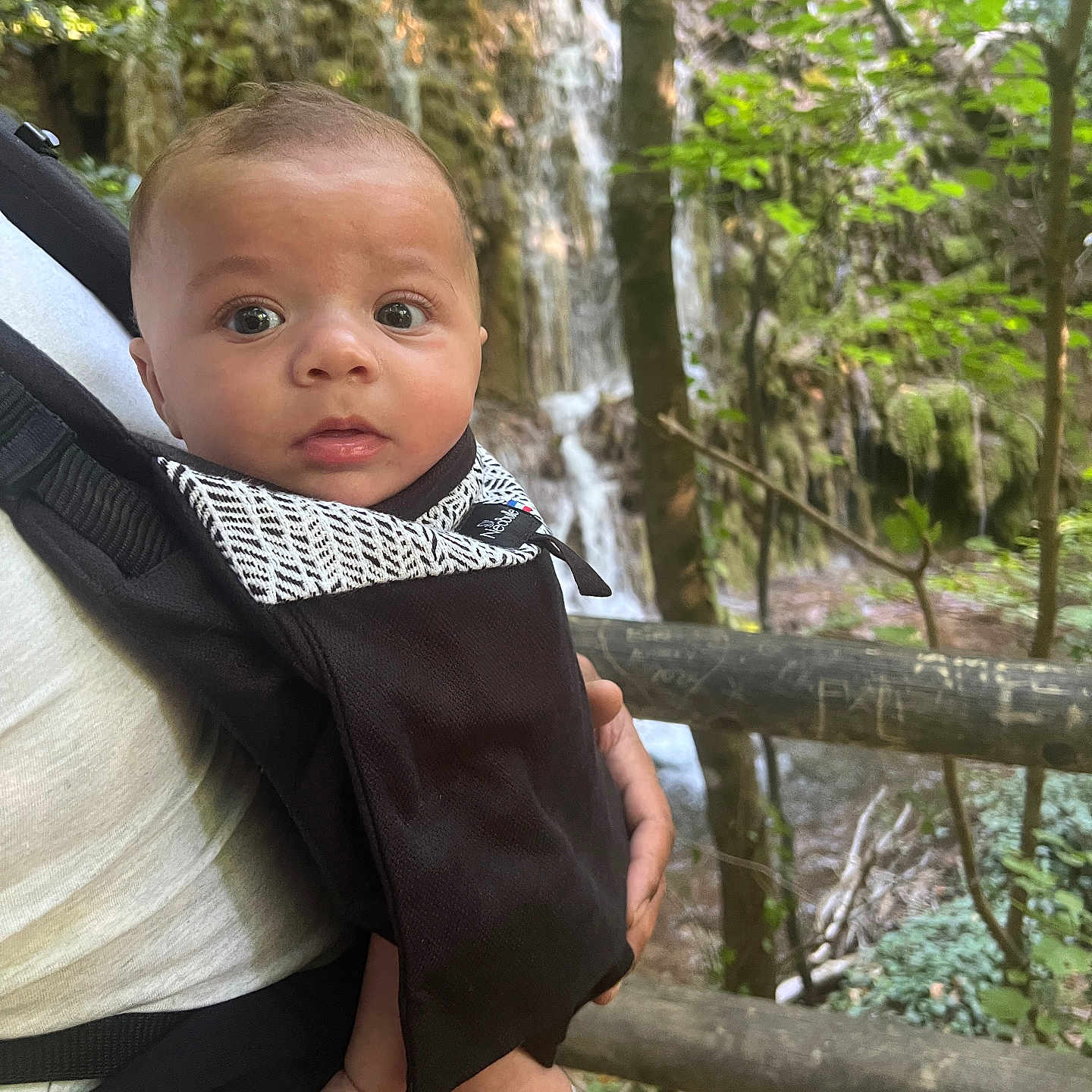 Jaden a rejoint le concours — aidez-le/la à gagner de superbes lots ! baby, baby_carrier, child, clothing, curious, daylight, face, forest, greenery, hand, infant, nature, outdoor, person, scenery, skin, summer, trees, waterfall, wooden_fence