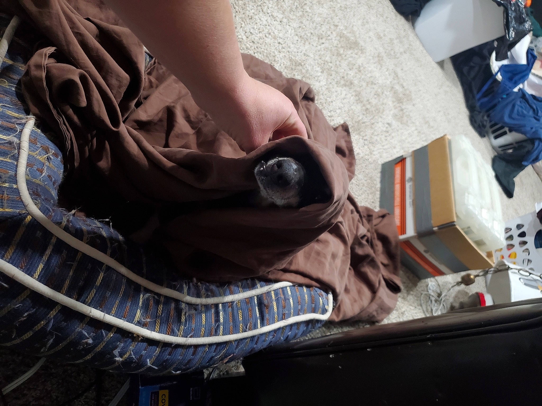 Shorty joined the competition — help win amazing prizes! athletic_shoe, auto_part, automotive_exterior, automotive_lighting, automotive_tire, bag, bicycle_tire, bumper, denim, elbow, foot, human_leg, leg, motor_vehicle, outdoor_shoe, personal_protective_equipment, shoe, walking_shoe, wood, wrist