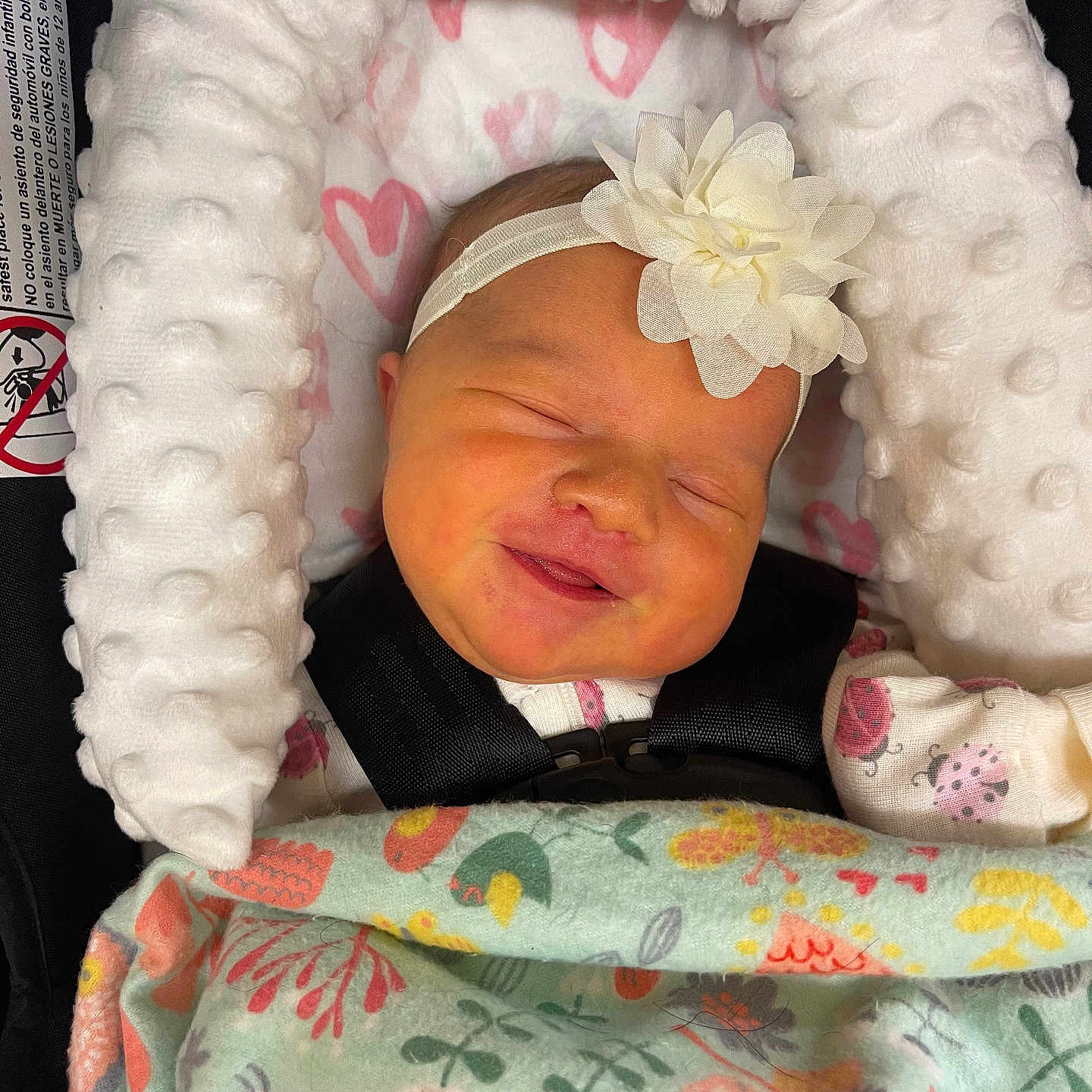 Scarlett is registered to the contest to win money with this photo: animal_print, baby, blanket, car_seat, child, clothing, comfort, cushion, cute, face, floral_print, flower, headband, heart_pattern, indoors, infant, newborn, sleeping, smiling, soft_texture