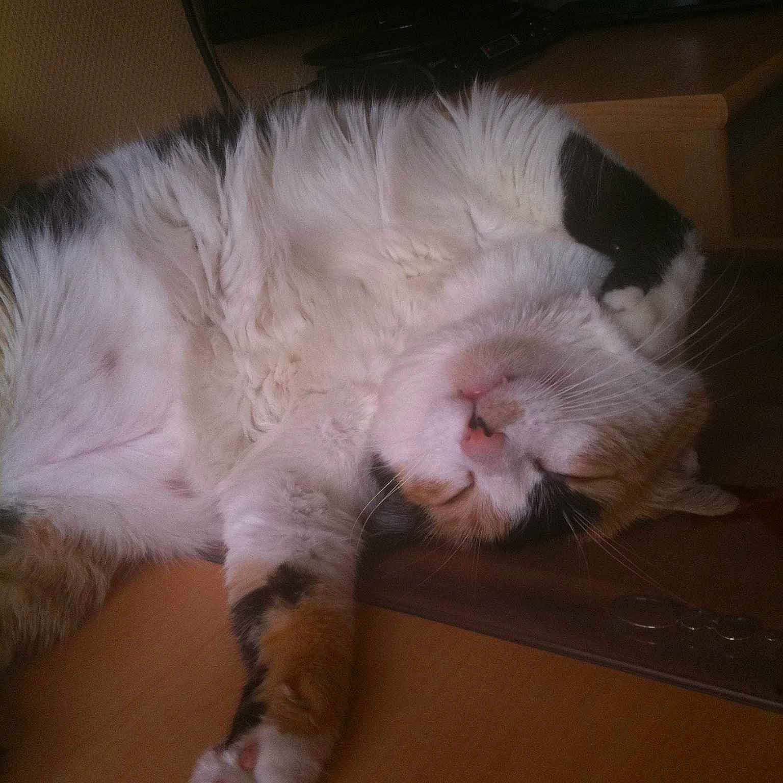 Louna
