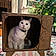 Pixel