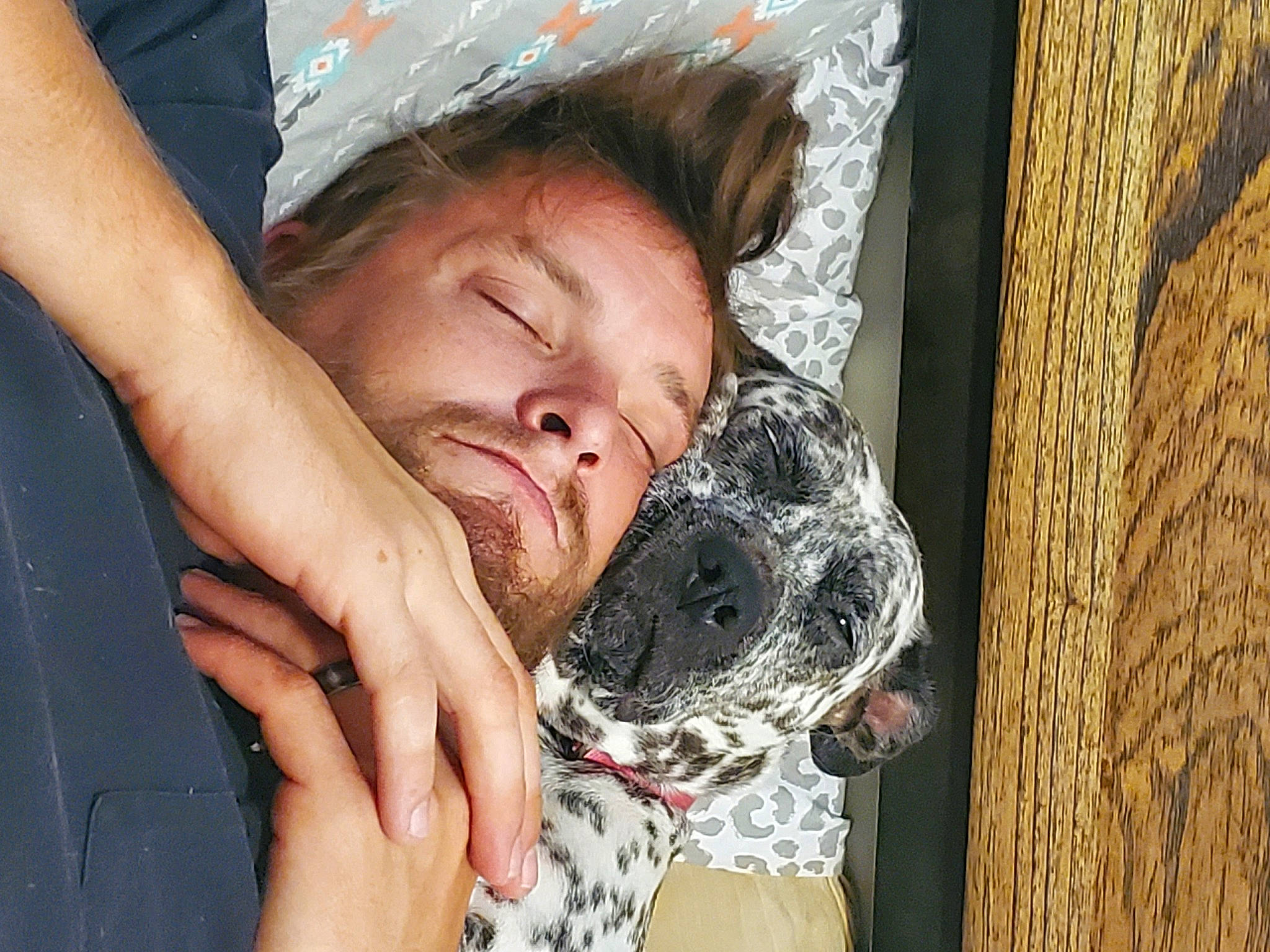 Bella joined the competition — help win amazing prizes! beard, black_hair, carnivore, comfort, companion_dog, dog, eyelash, eyewear, facial_hair, fun, gesture, happy, linens, mammal, neck, pattern, snout, textile, wood, wrinkle