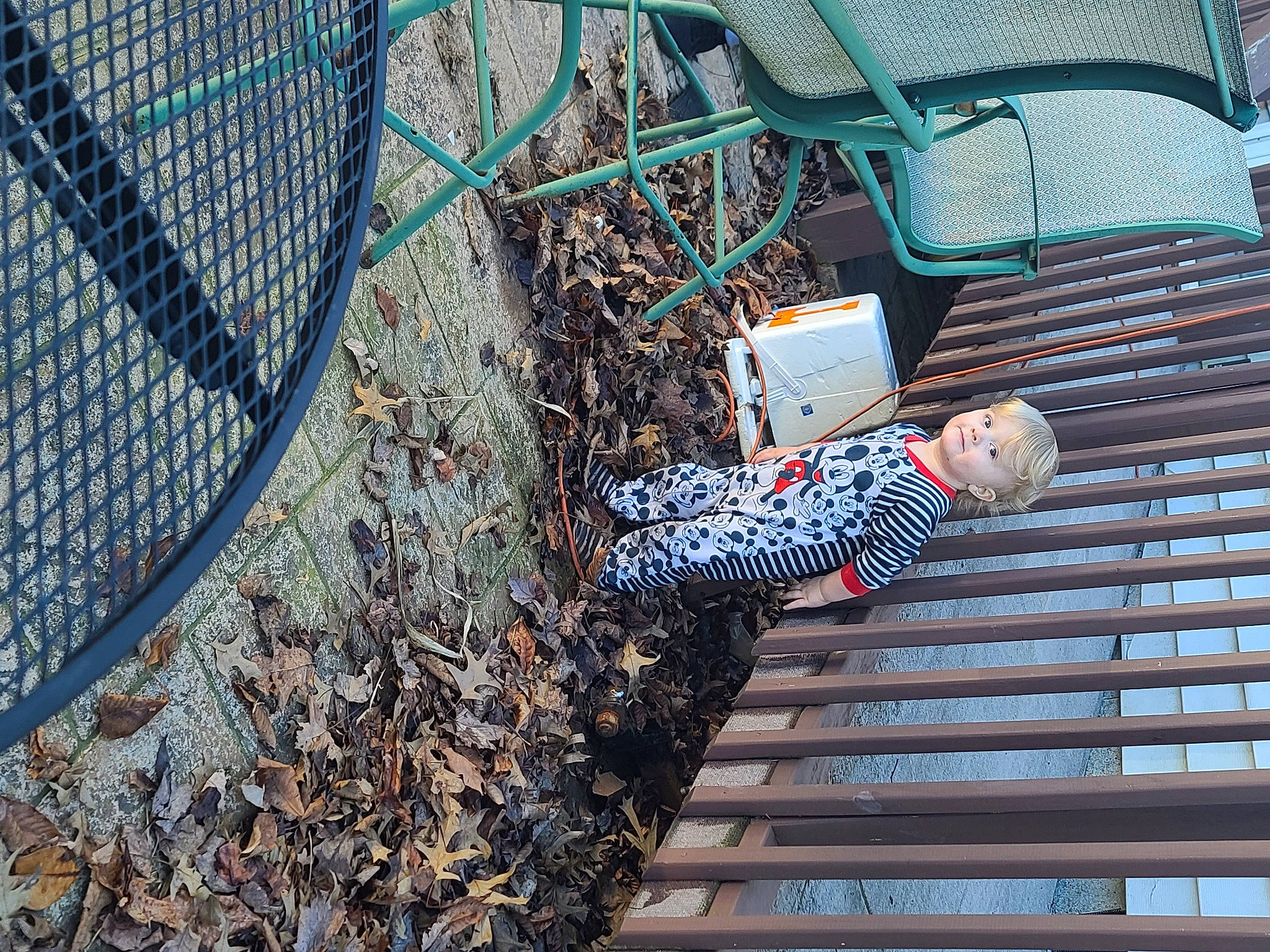 Jaxon And Joey is registered to the contest to win money with this photo: automotive_tire, chain_link_fencing, city, denim, electric_blue, fun, grass, leisure, mesh, metal, motor_vehicle, net, pattern, person, sitting, soil, stairs, toddler, tree, wire_fencing