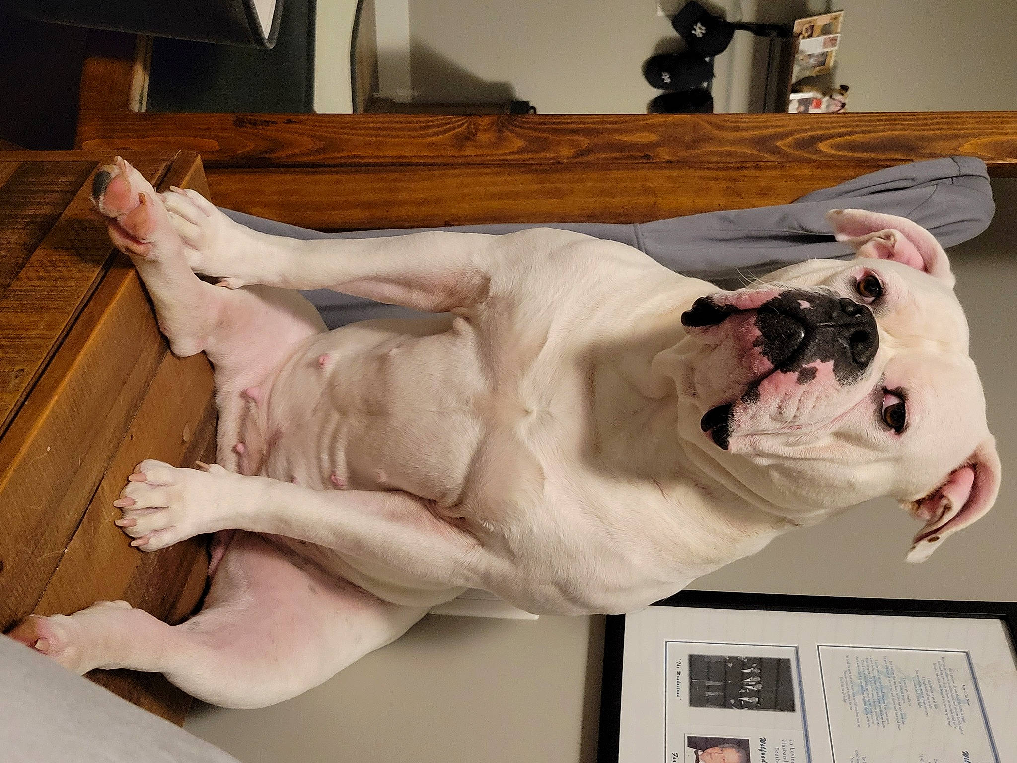 Brooklyn joined the competition — help win amazing prizes! abdomen, art, chest, elbow, fawn, flesh, foot, fur, gesture, human_leg, jaw, knee, picture_frame, sculpture, statue, tail, trunk, visual_arts, wood, wrist