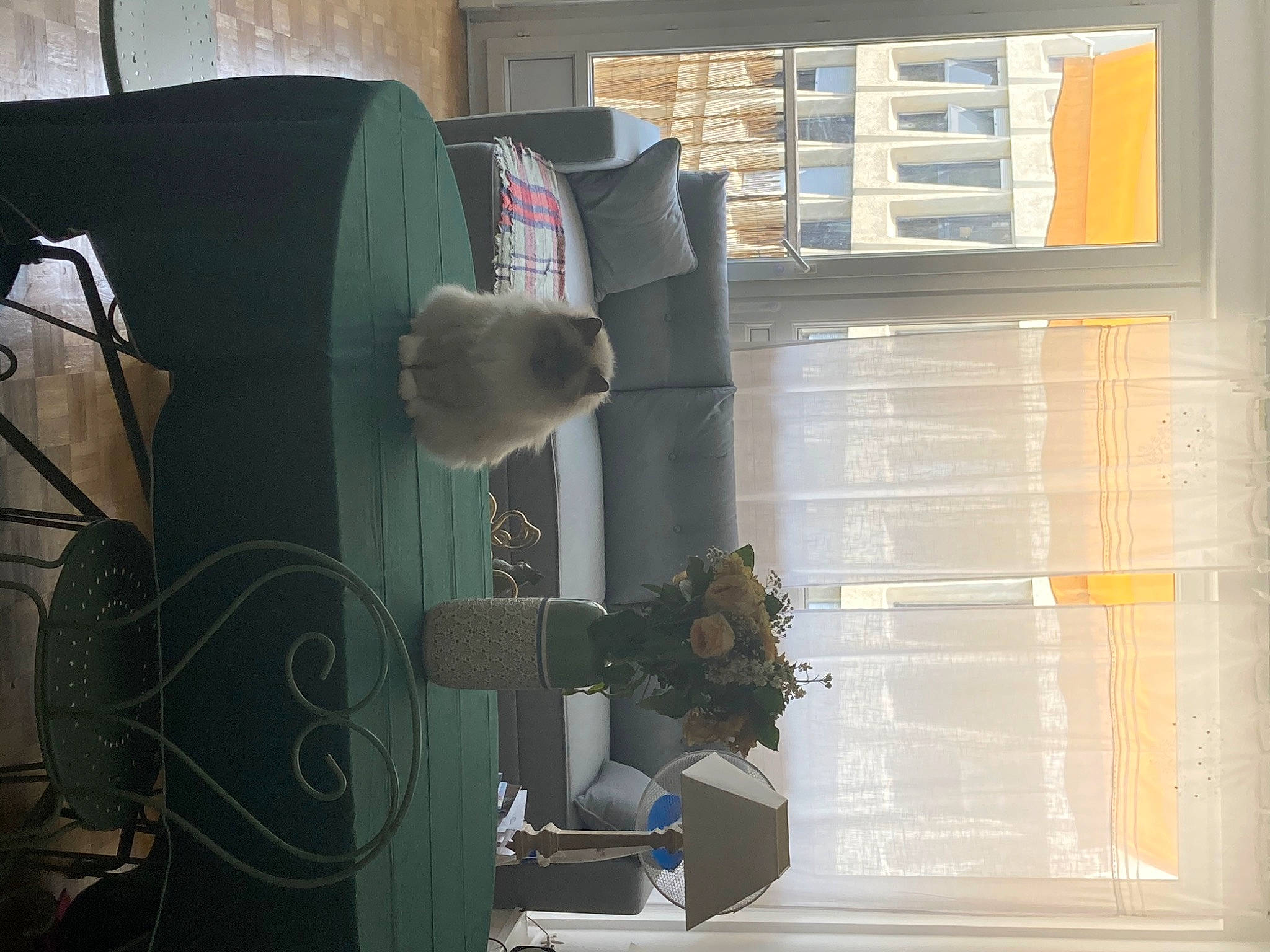 Amy participe au concours pour gagner de l'argent avec cette photo : building, chair, comfort, flowerpot, glass, hardwood, house, houseplant, interior_design, plant, room, shade, shelving, tints_and_shades, transparent_material, window, window_blind, window_covering, window_treatment, wood