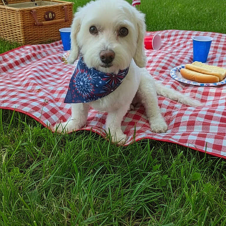 Max