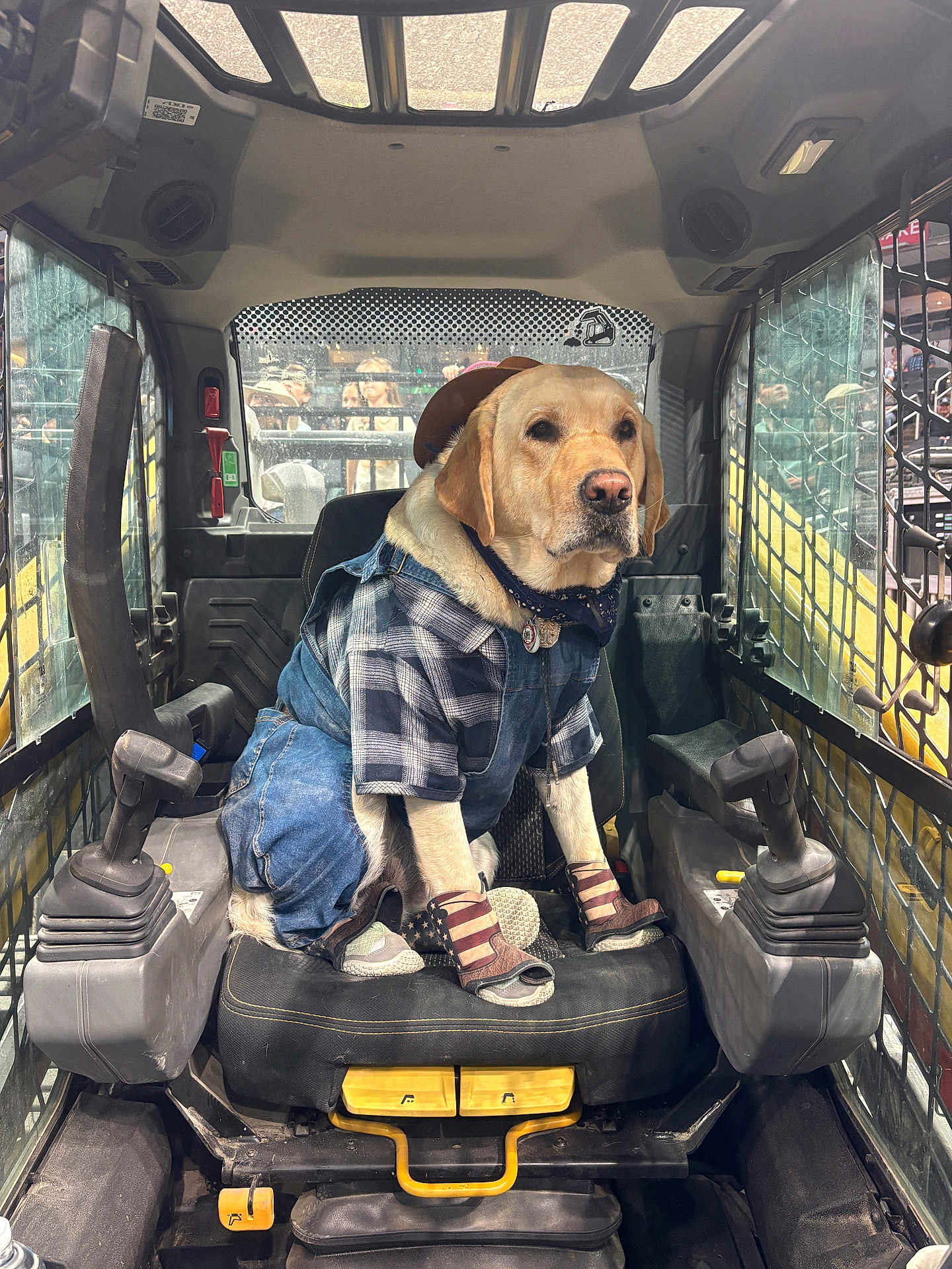 Georgie joined the competition — help win amazing prizes! dog, labrador_retriever, pet, overalls, plaid_shirt, bandana, hat, sandals, paw, seat, cockpit, joystick, skid_steer, vehicle_interior, cage_grill, window, crowd, construction, cute, costume