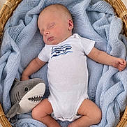 Kolte is registered to the contest to win money with this photo: baby, basket, blue_blanket, child, cozy, cute, indoors, infant, laying_down, newborn, onesie, peaceful, plush_toy, portrait, resting, shark, sleeping, soft_texture, toddler, wicker