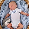 baby, basket, blue_blanket, child, cozy, cute, indoors, infant, laying_down, newborn, onesie, peaceful, plush_toy, portrait, resting, shark, sleeping, soft_texture, toddler, wicker