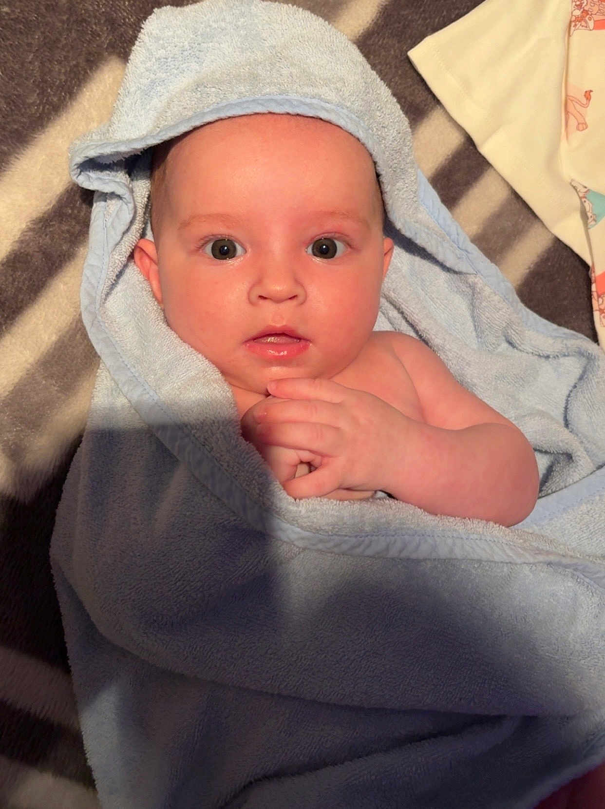 Vaelen is registered to the contest to win money with this photo: baby, towel, blue, hood, blanket, infant, child, hands, curious, face, skin, lying, soft, striped, clothing, newborn, portrait, indoors, cute, wrapped