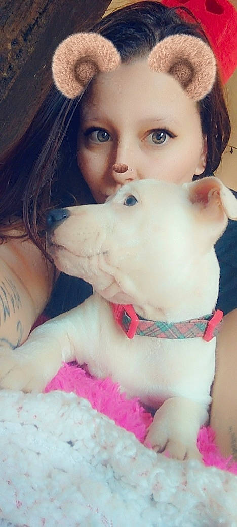 Perle a rejoint le concours — aidez-le/la à gagner de superbes lots ! american_pit_bull_terrier, beauty, canidae, carnivore, cheek, child, companion_dog, dog, dog_breed, fawn, mouth, non_sporting_group, nose, puppy_love, selfie, skin