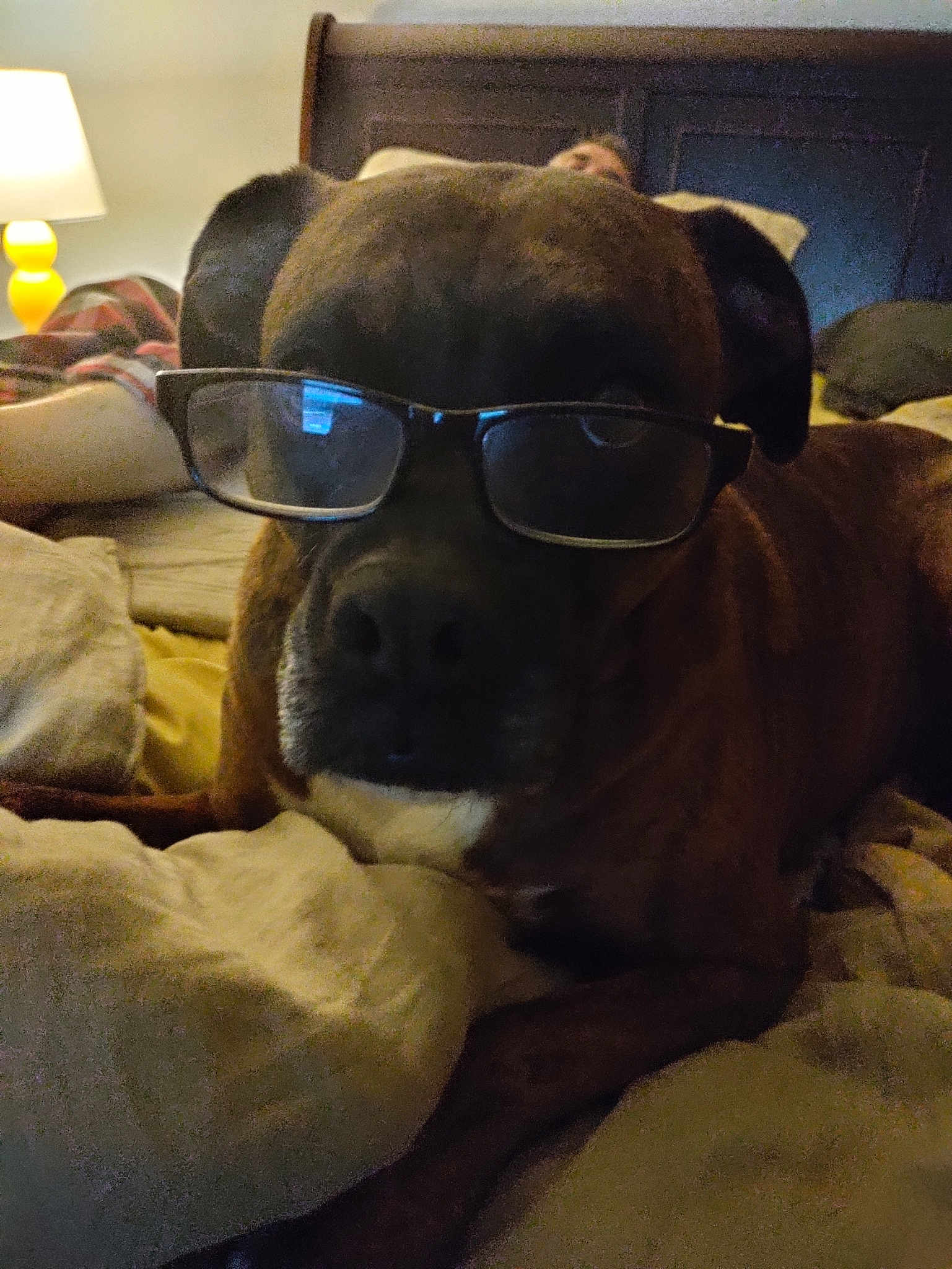 Lola