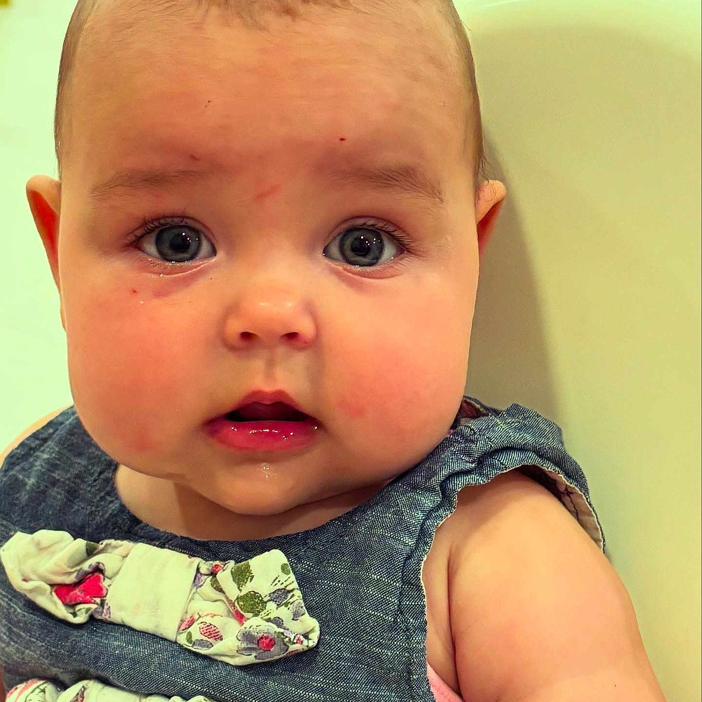 Harriet joined the competition — help win amazing prizes! baby, blue_eyes, bow, cheeks, child, closeup, curious, cute, denim_dress, expression, face, head, indoors, infant, person, portrait, seated, skin, sleeveless, young