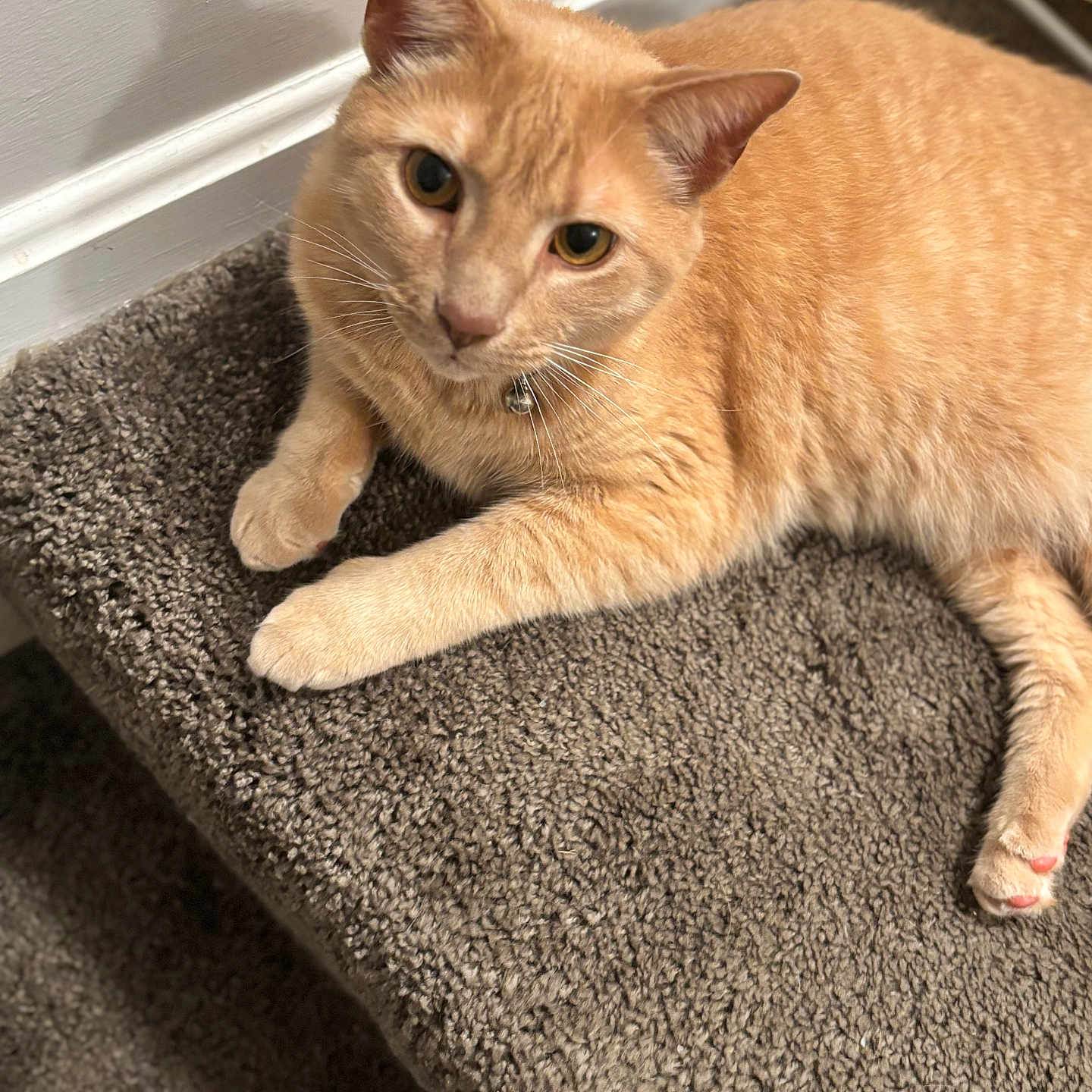 Tigger