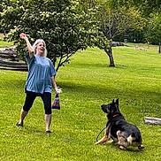 Ammo is registered to the contest to win money with this photo: woman, dog, german_shepherd, grass, tree, throwing, playing, outdoor, park, pet, animal, person, leisure, summer, greenery, active, fun, daytime, casual_clothing, nature