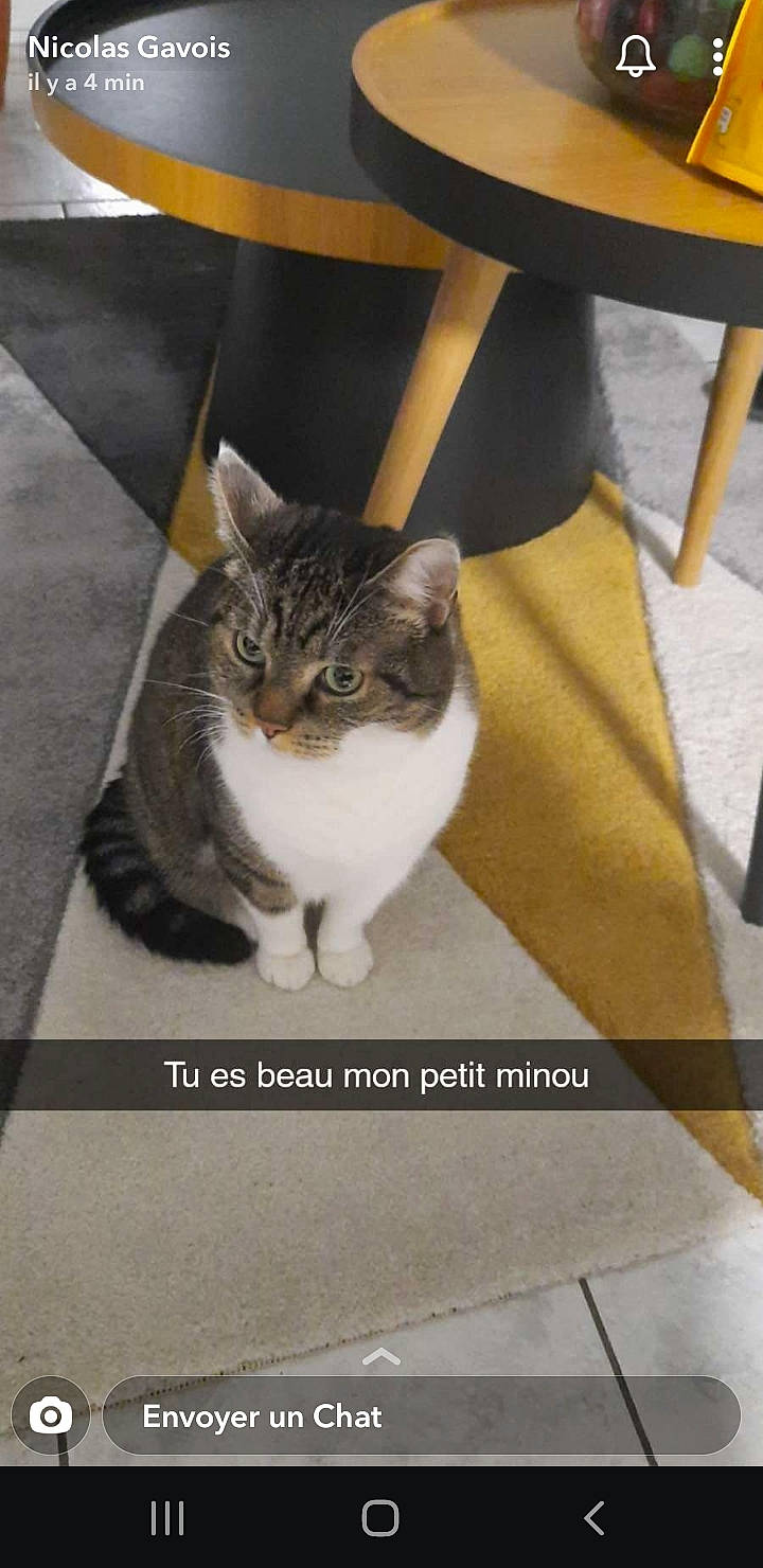 Ptit Minou