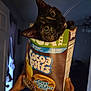 cat, tortoiseshell_cat, cereal_box, cocoa_puffs, hands, indoor, dim_light, curious, peeking, animal, pet, box, brown, green, blue, yellow, whiskers, ears, eyes, playful