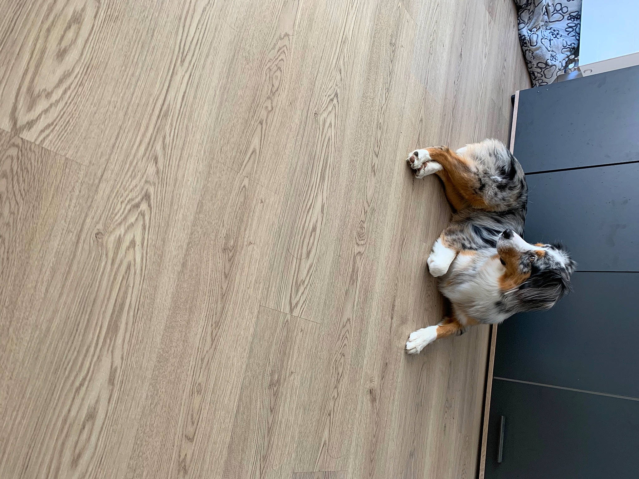 Rio a rejoint le concours — aidez-le/la à gagner de superbes lots ! adventure, asphalt, concrete, facade, floor, flooring, grey, hardwood, landscape, pattern, plywood, recreation, rock_climbing_equipment, rope, shadow, varnish, wall, wood, wood_flooring, wood_stain