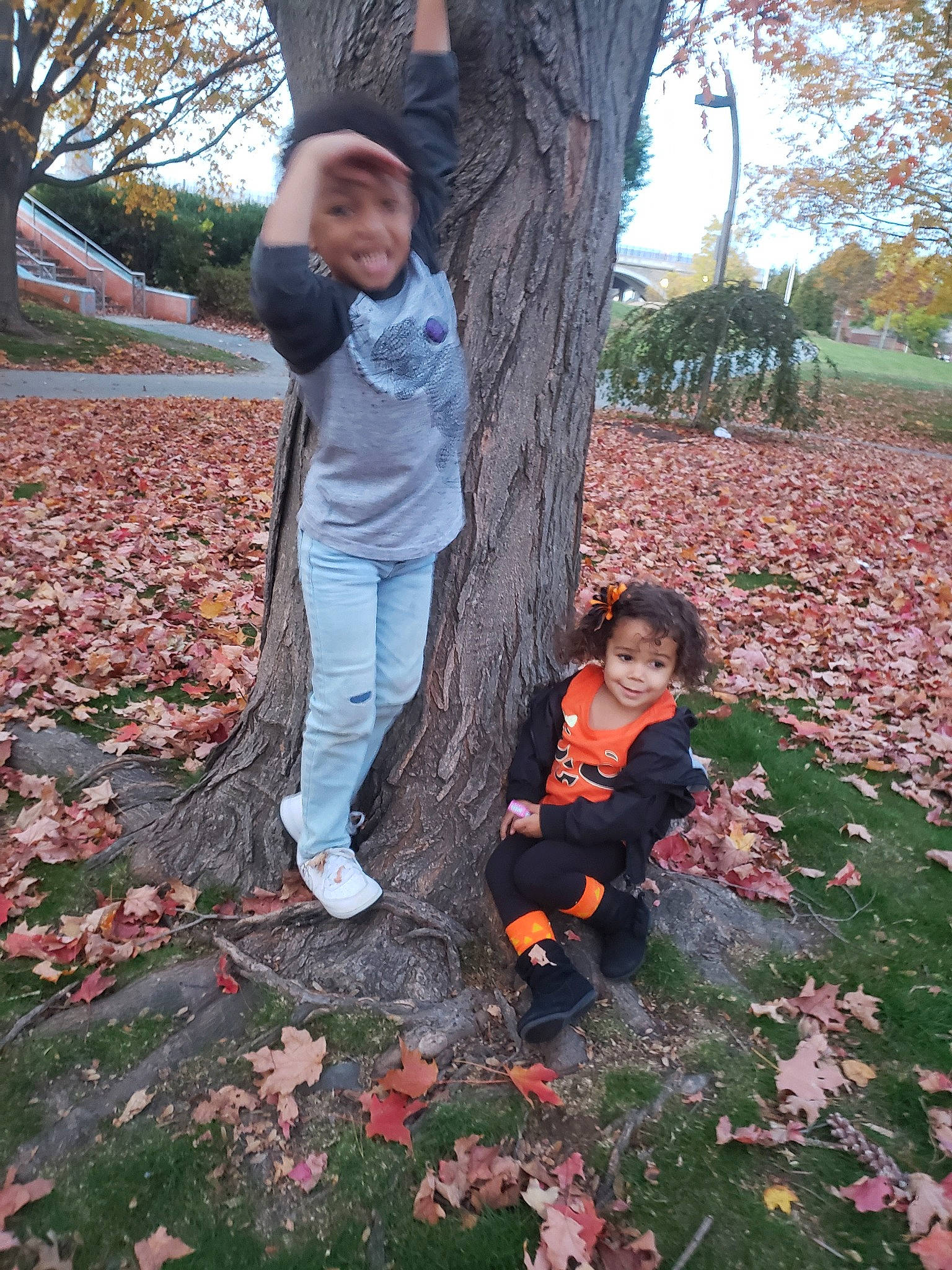 Bernard is registered to the contest to win money with this photo: autumn, branch, child, deciduous, grass, joy, lawn, leaf, person, plant, play, toddler, tree, woody_plant