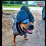 dog, helmet, sunglasses, outdoor, dirt, camouflage, pet, animal, canine, happy, tongue_out, mohawk, reflective, vehicle, shed, grass, tree, smiling, cool, accessory