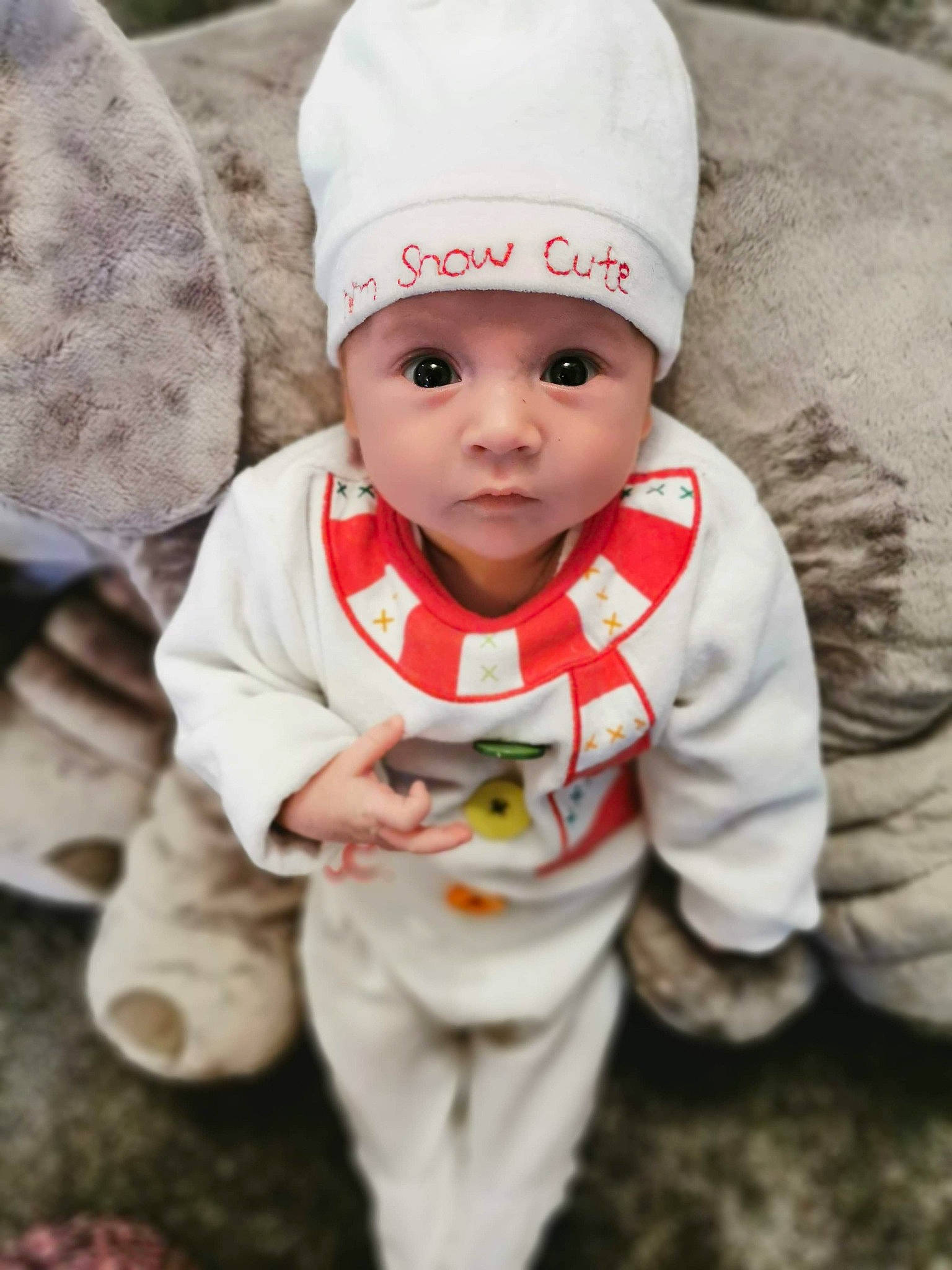 Travis is registered to the contest to win money with this photo: baby, baby_toddler_clothing, cap, cheek, eye, facial_expression, grass, happy, headwear, human_body, jacket, lip, outerwear, person, plant, skin, sleeve, textile, toddler, tree