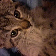 Natzu participe au concours pour gagner de l'argent avec cette photo :
